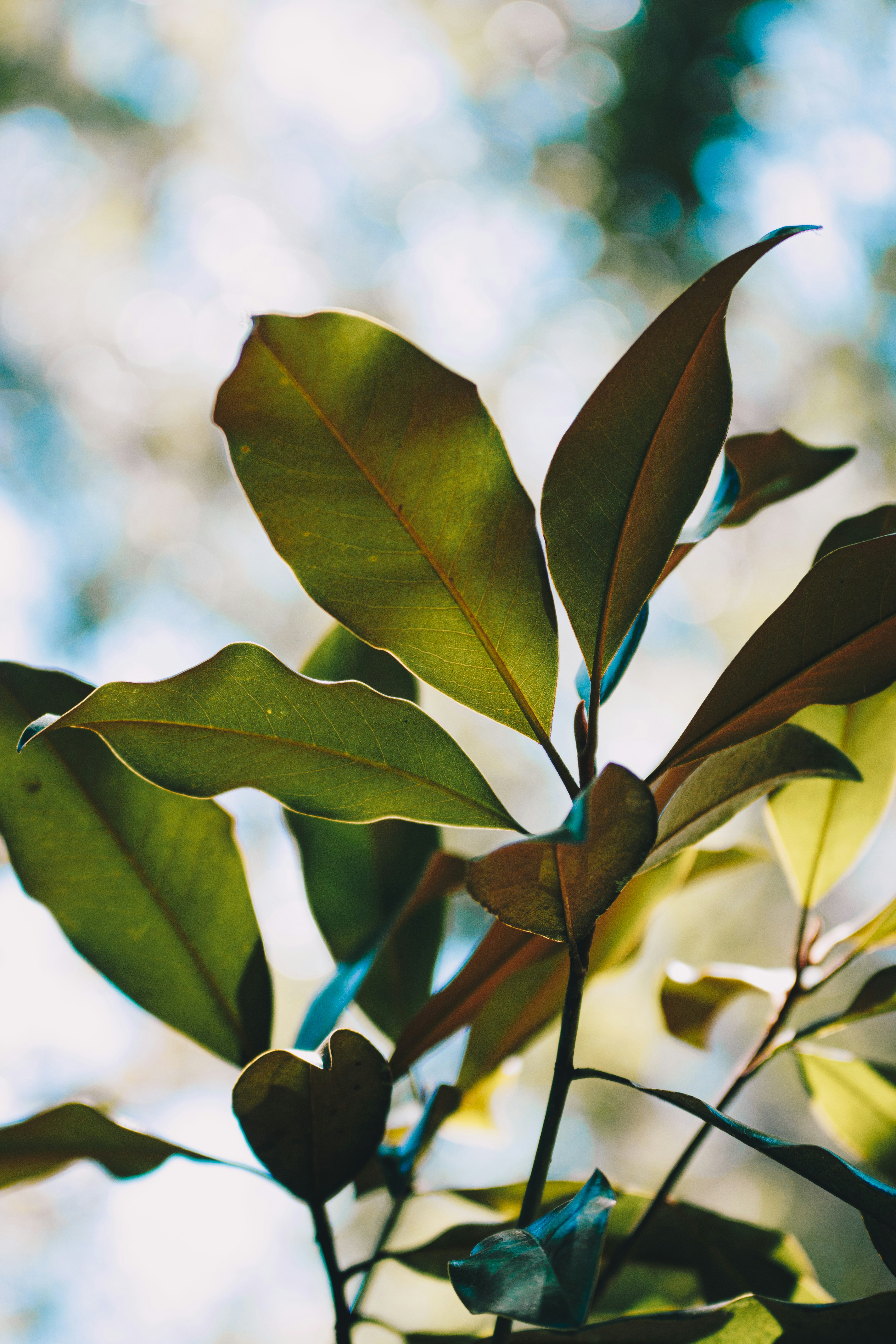 Photo by storywright