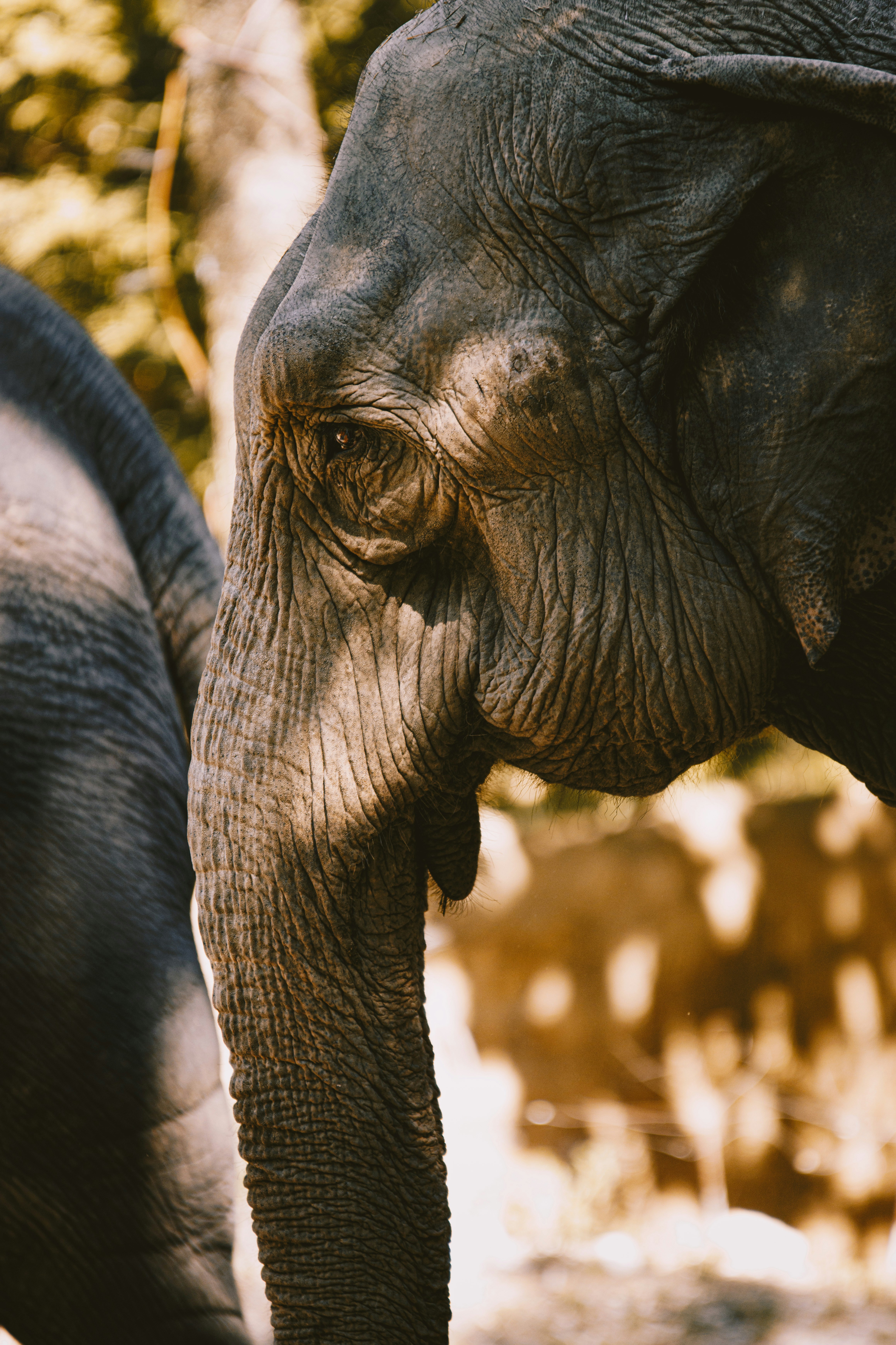 Photo by storywright