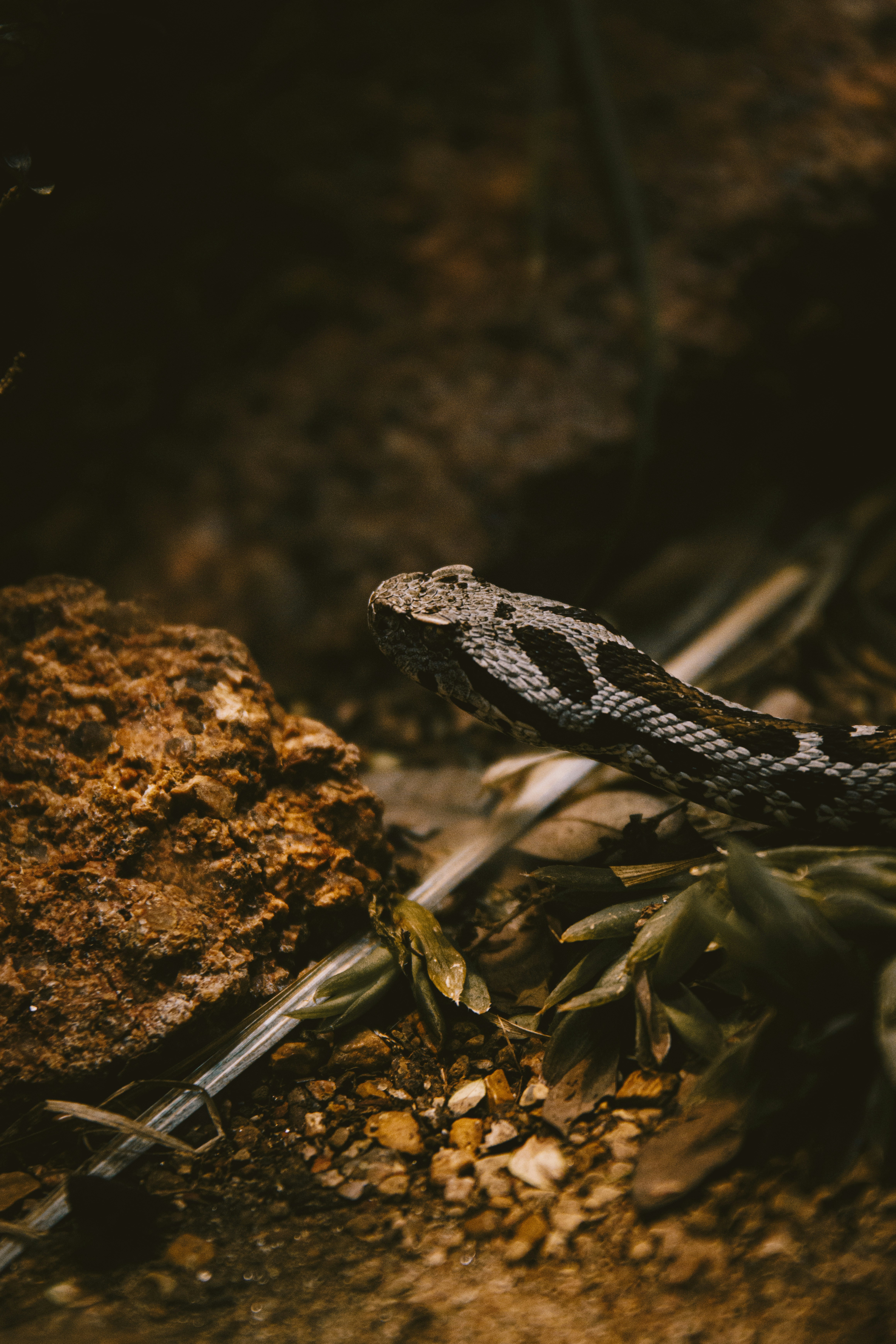 Photo by storywright