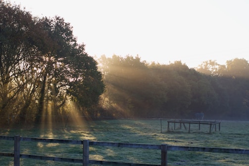 Wide shot of a sunlit open field with an equestrian trail leading toward a distant luxury cabin.
