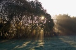 Morning light casting long shadows over the peaceful farm fields.