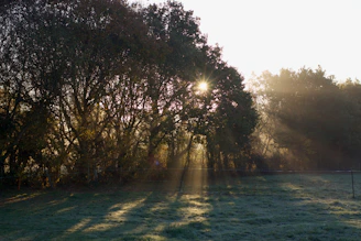 Early morning training at sunrise, casting long shadows and a quiet promise of discipline ahead.