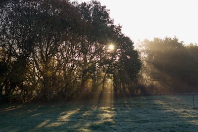 Morning light casting long shadows over the peaceful farm fields.