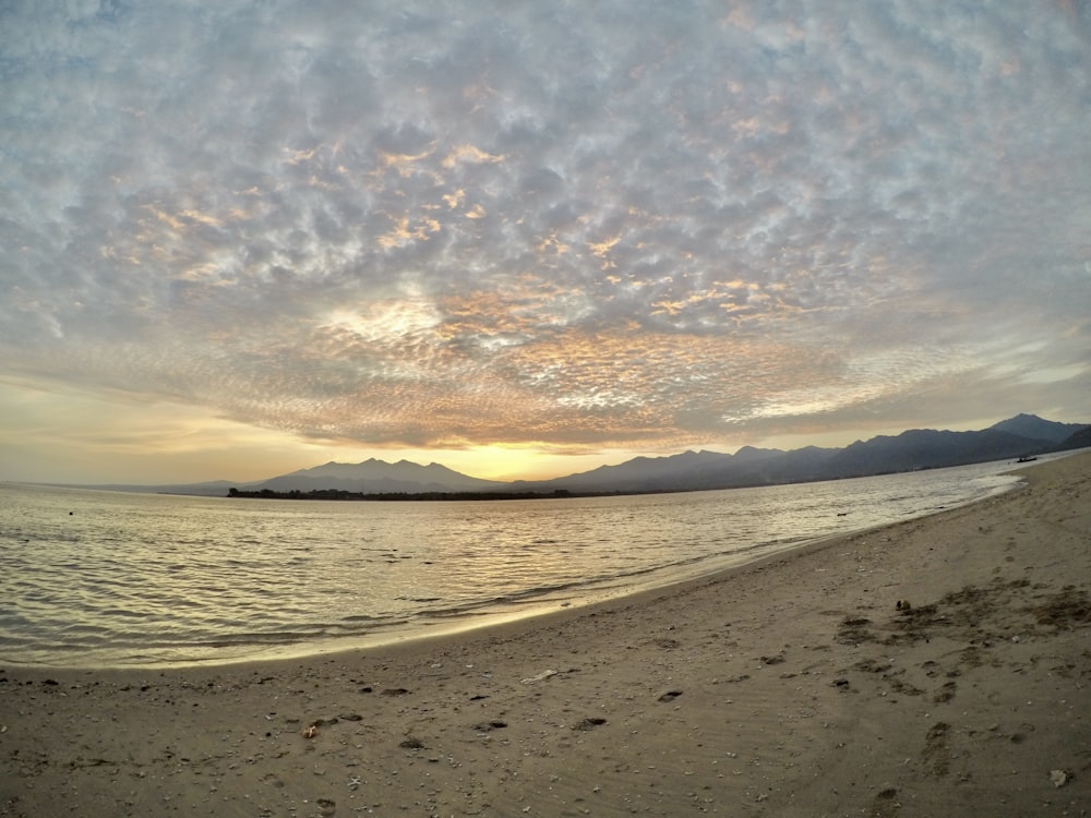 a beach with a body of water under a cloudy sky