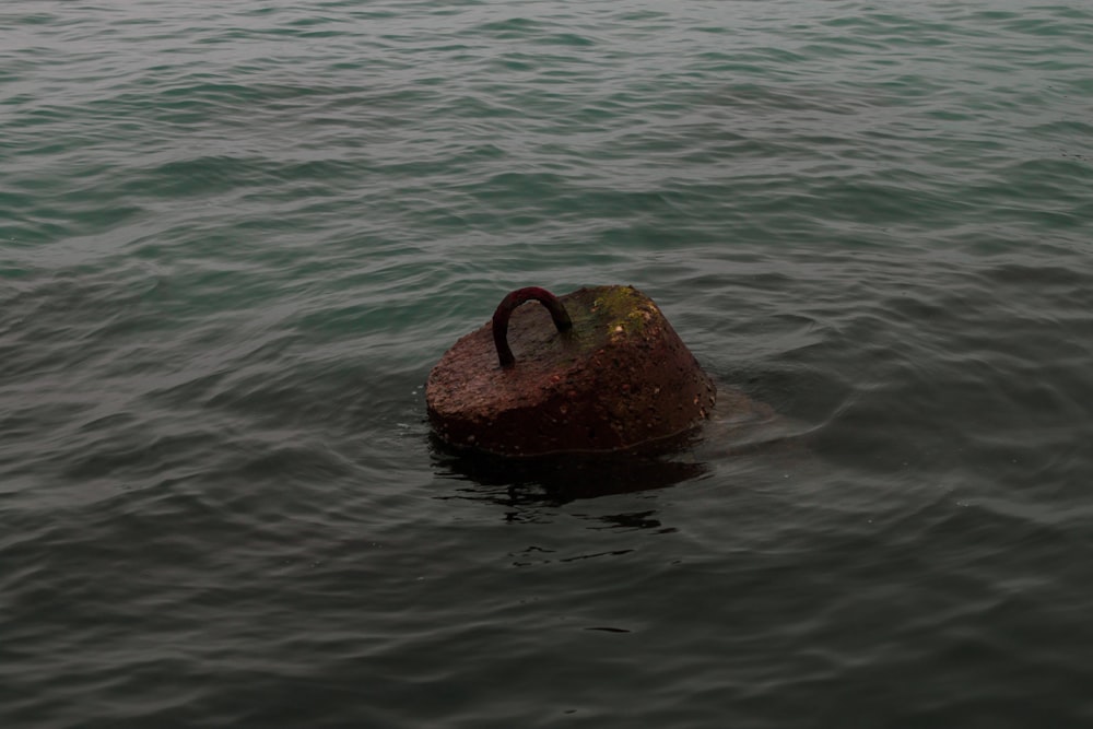 a large object floating on top of a body of water