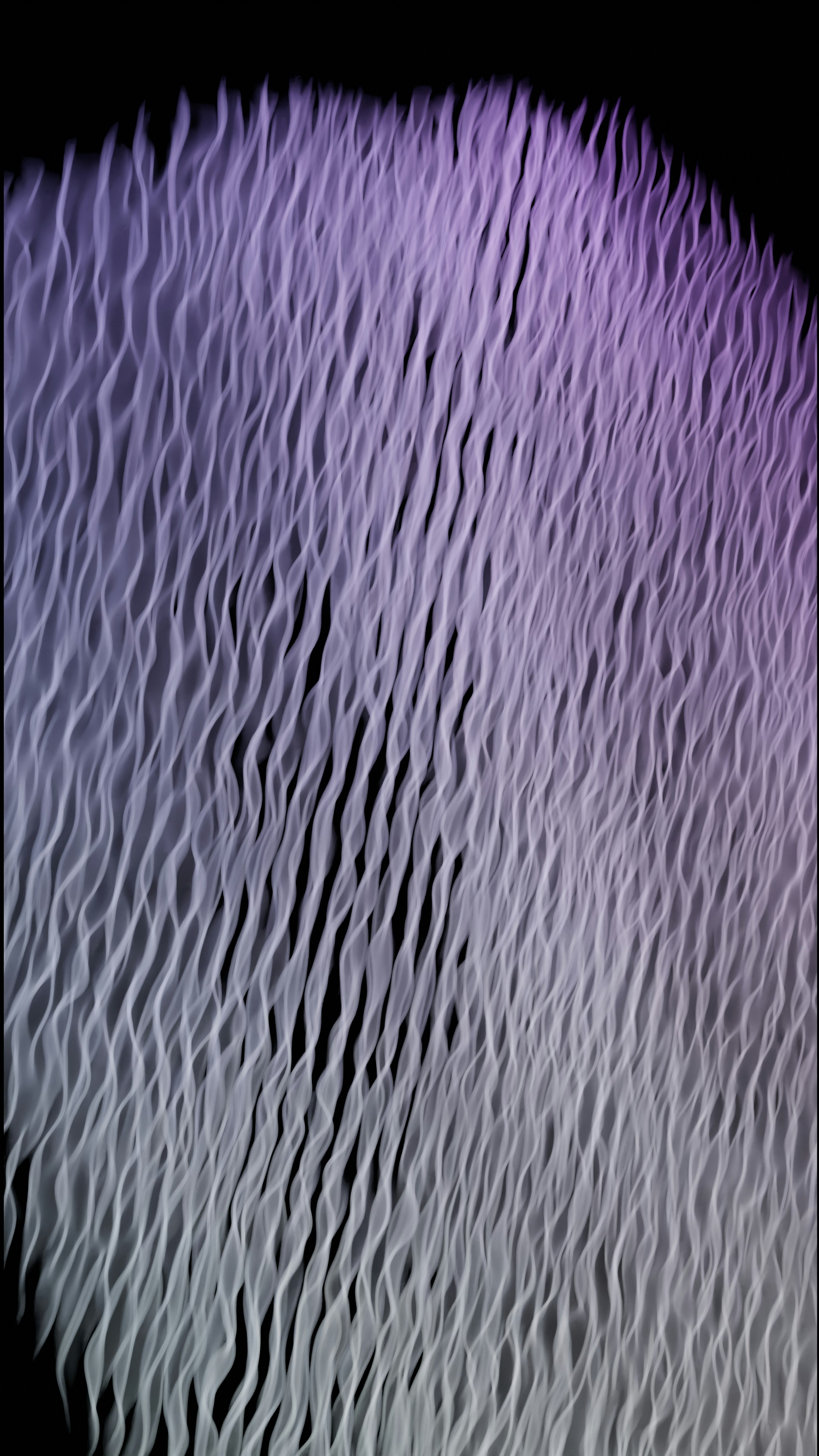 a close up of a purple and black background