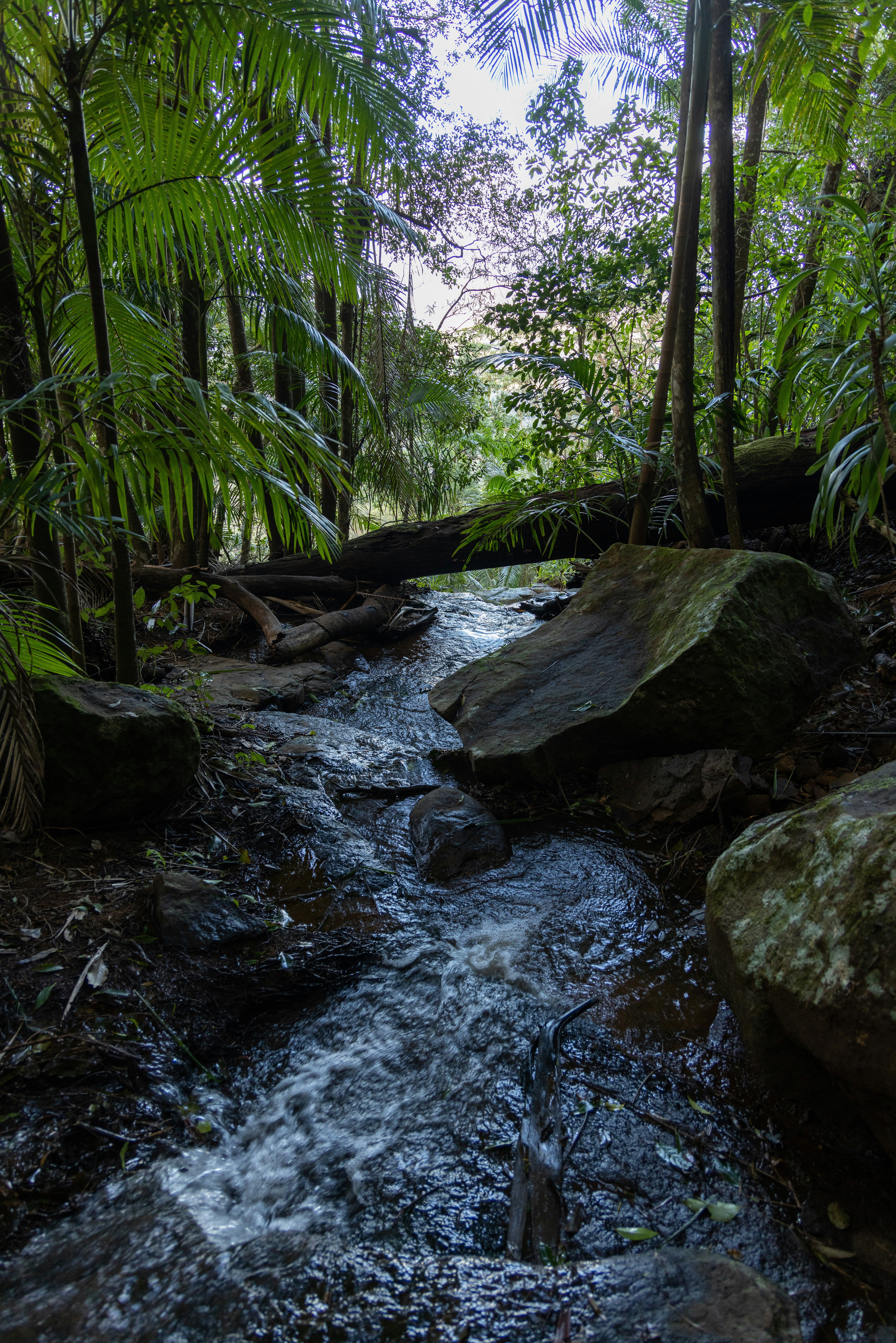 Photo by stephenmabbs