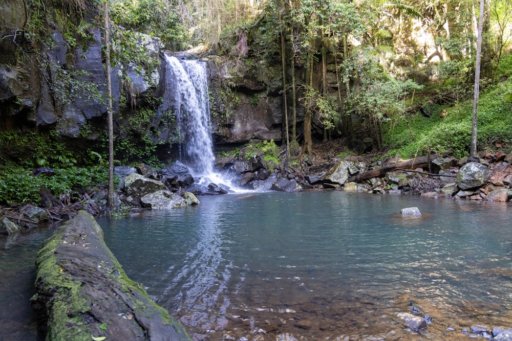 a small waterfall in the middle of a forest