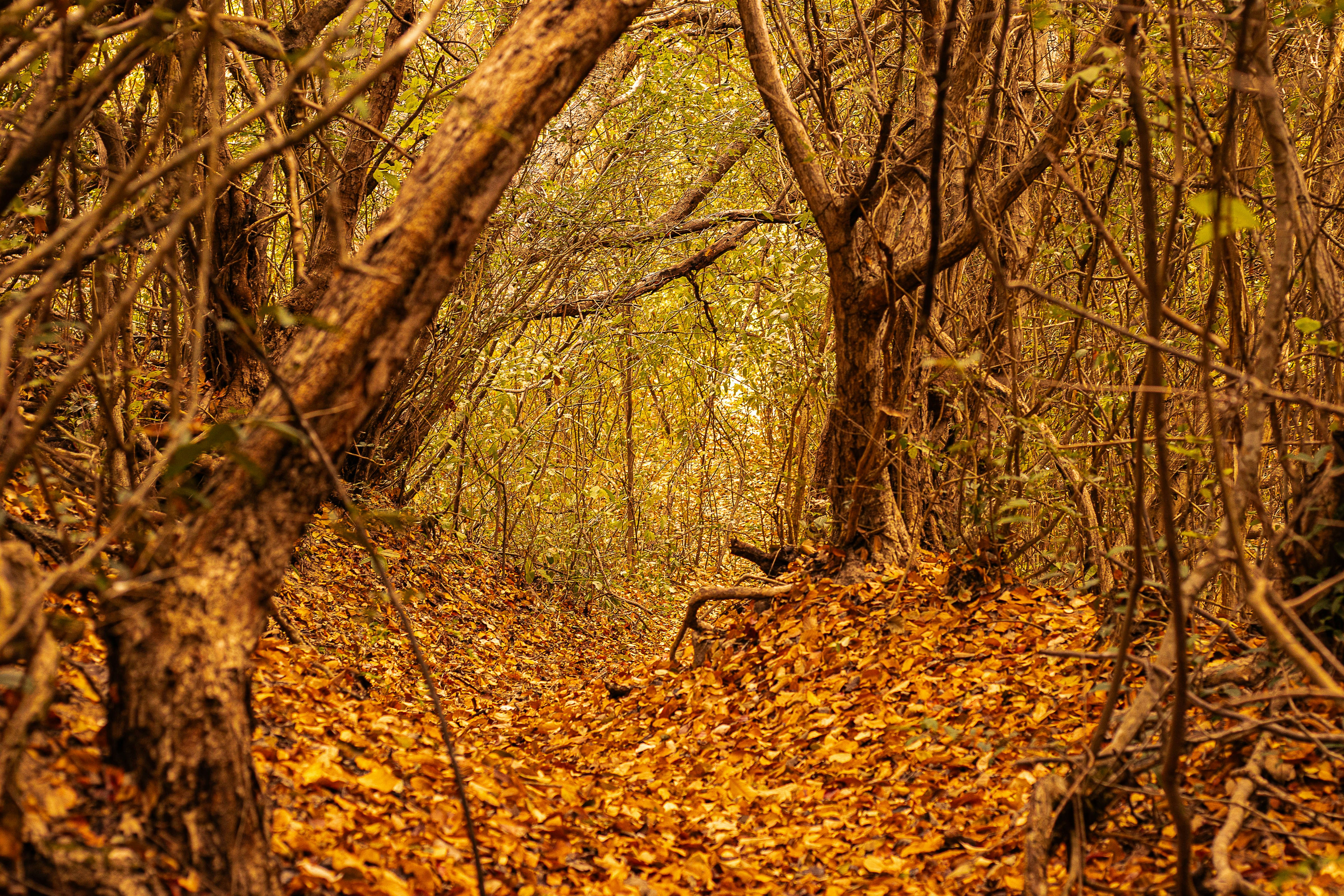 Photo by cliciaweyne