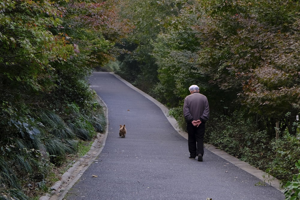 a man walking down a path with a cat on the other side