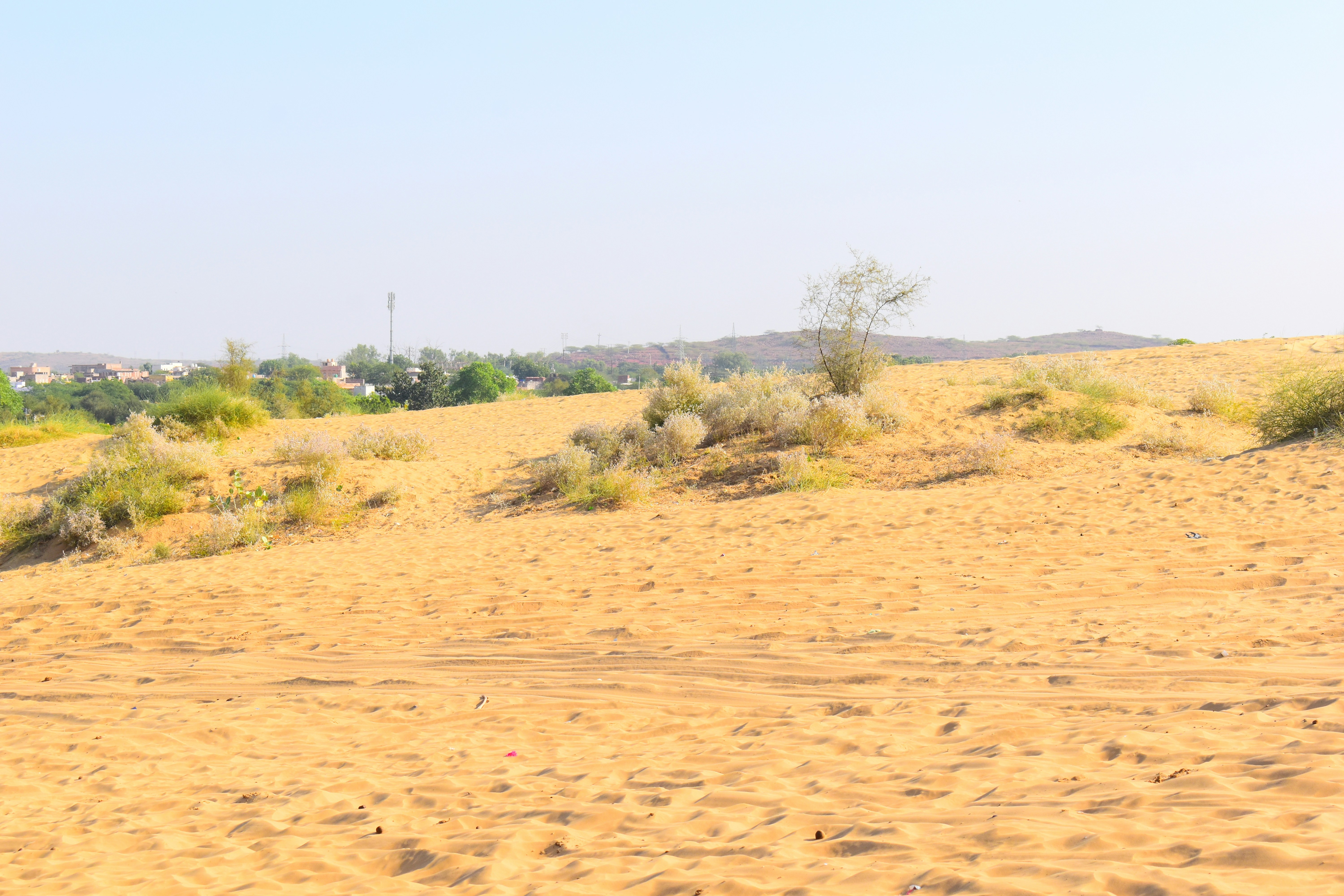 Photo by rambabu_dausaa