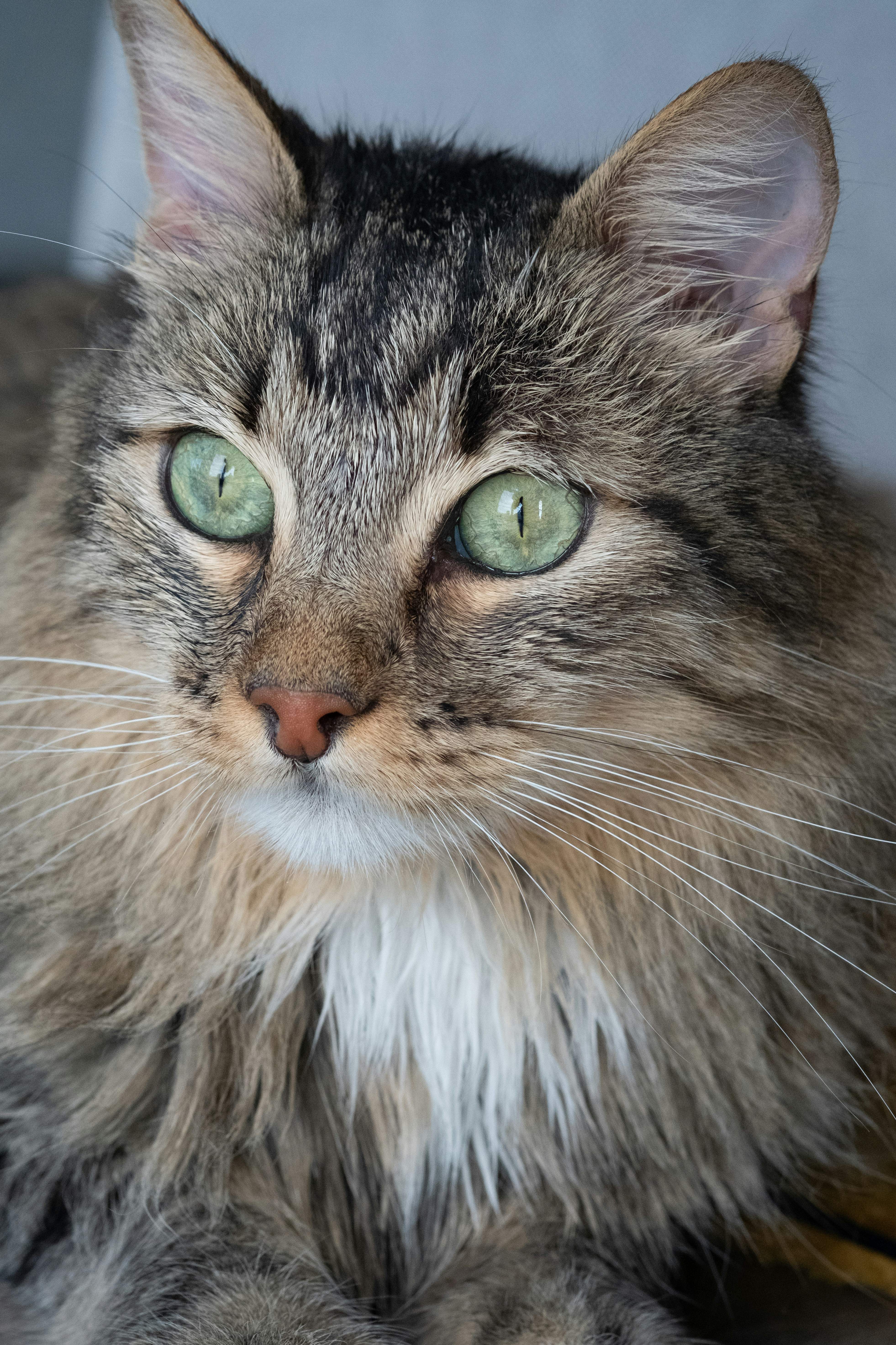 Photo by correliebre