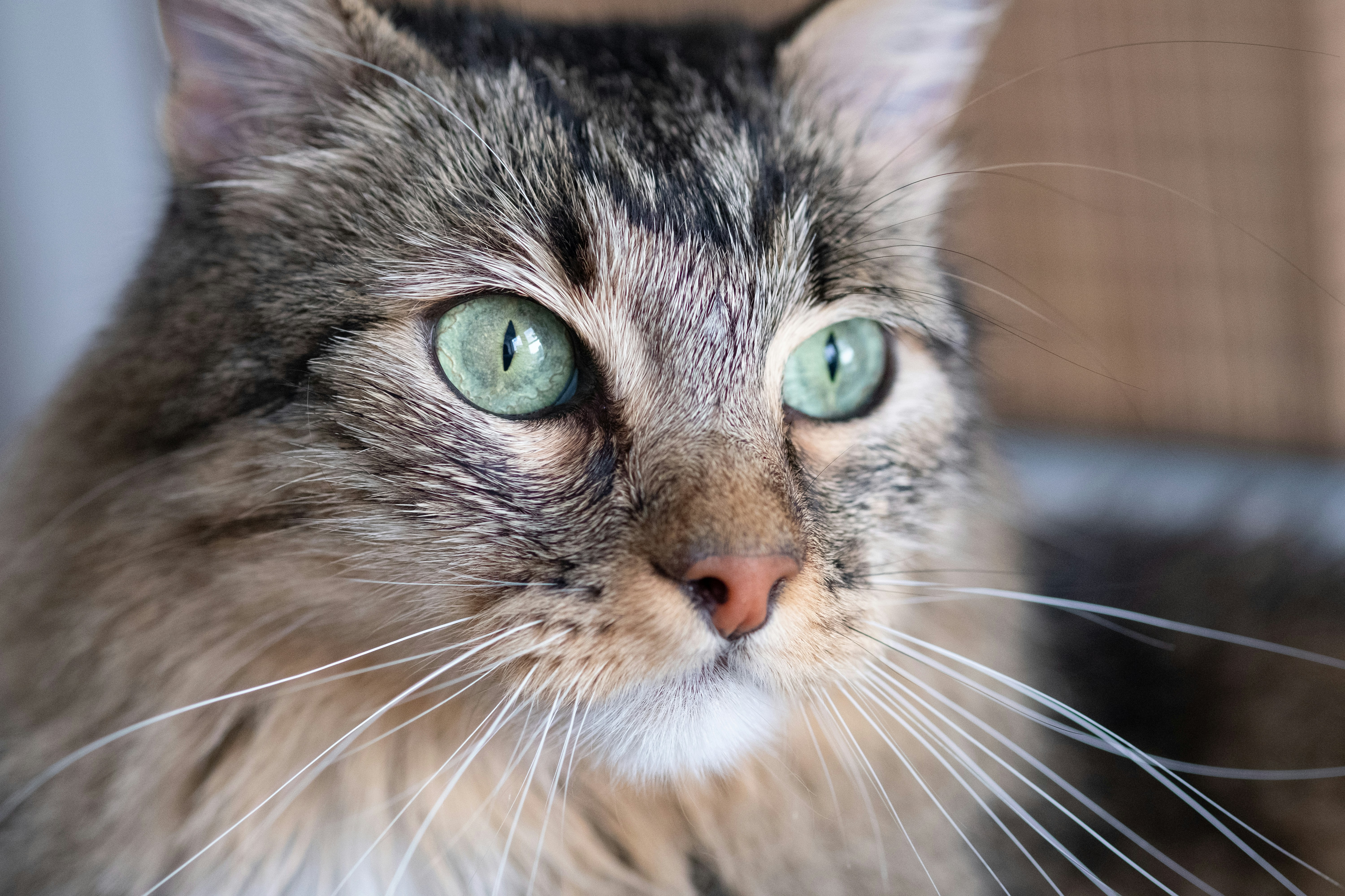 Photo by correliebre