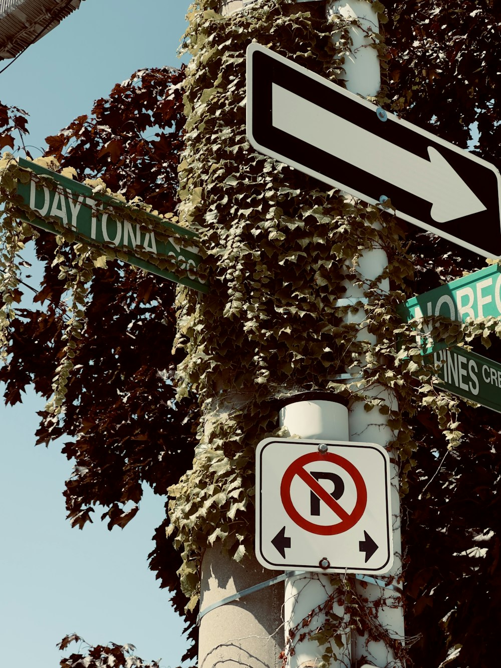 a pole with street signs and a no parking sign