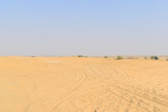 The vast, golden sands of the Thar Desert stretching under a bright blue sky.
