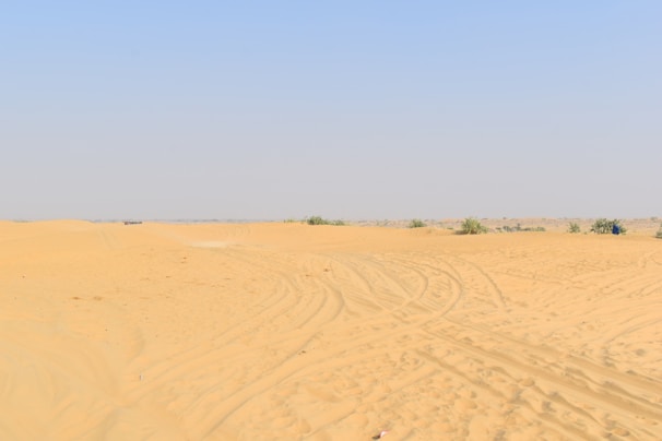 The vast, golden sands of the Thar Desert stretching under a bright blue sky.