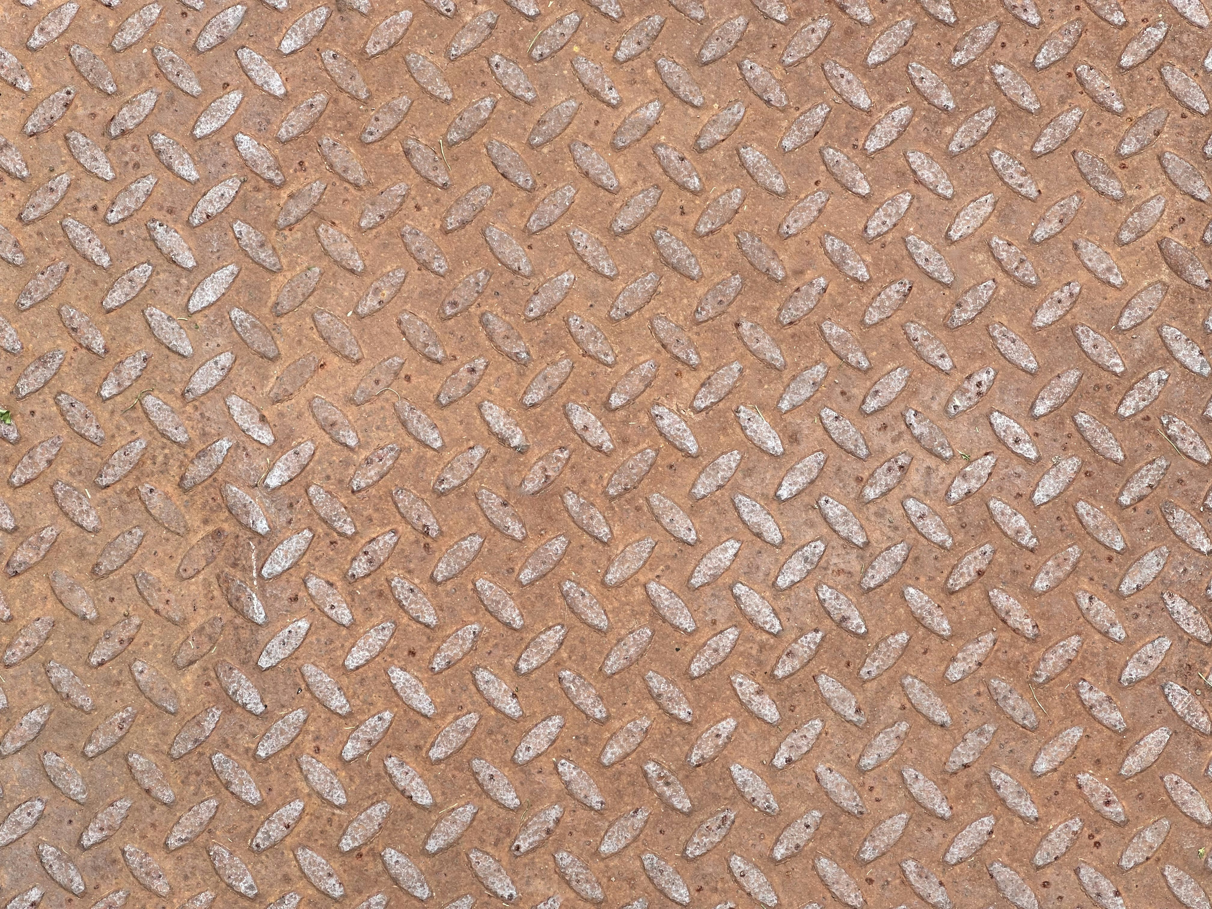 Photo by midkiffaries