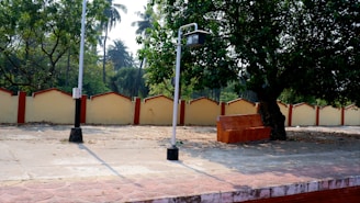 A peaceful outdoor setting featuring a cozy bench under a tree, symbolizing reflection and recovery.