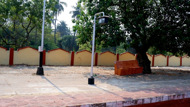 A peaceful outdoor setting featuring a cozy bench under a tree, symbolizing reflection and recovery.