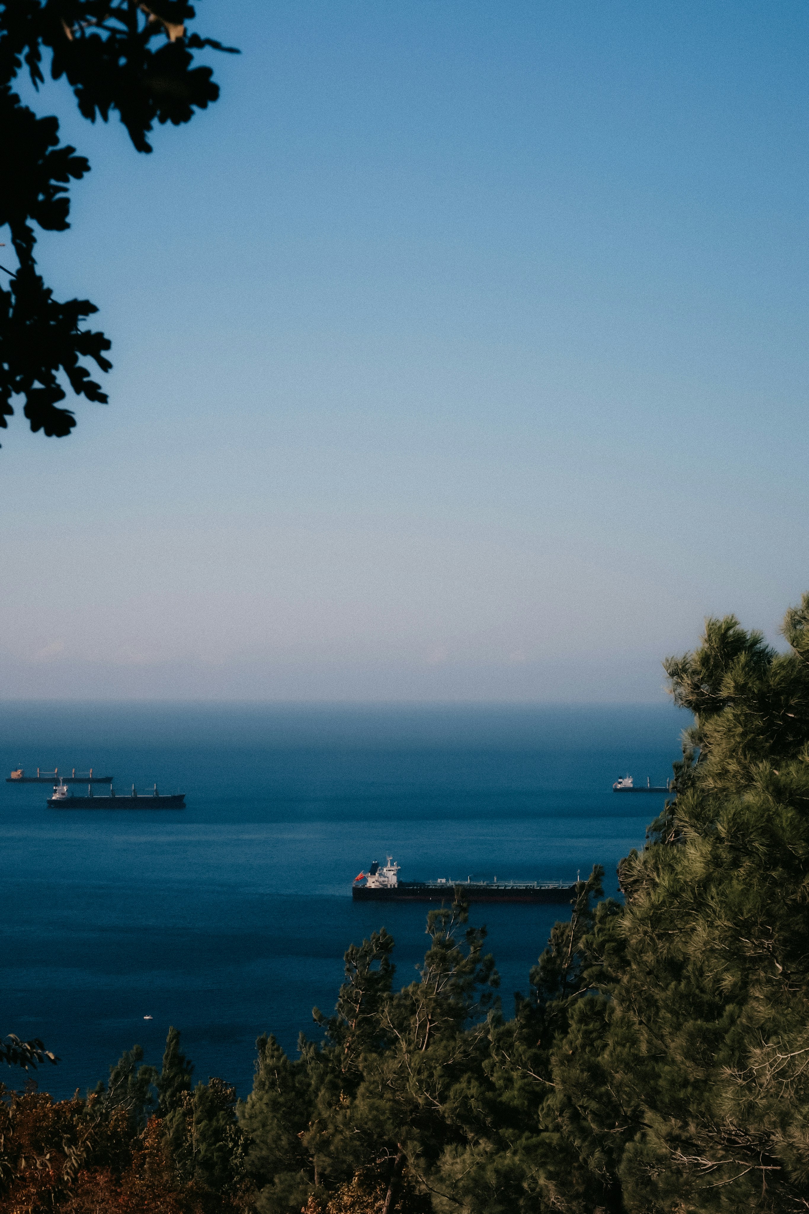 Photo by kashirenkova