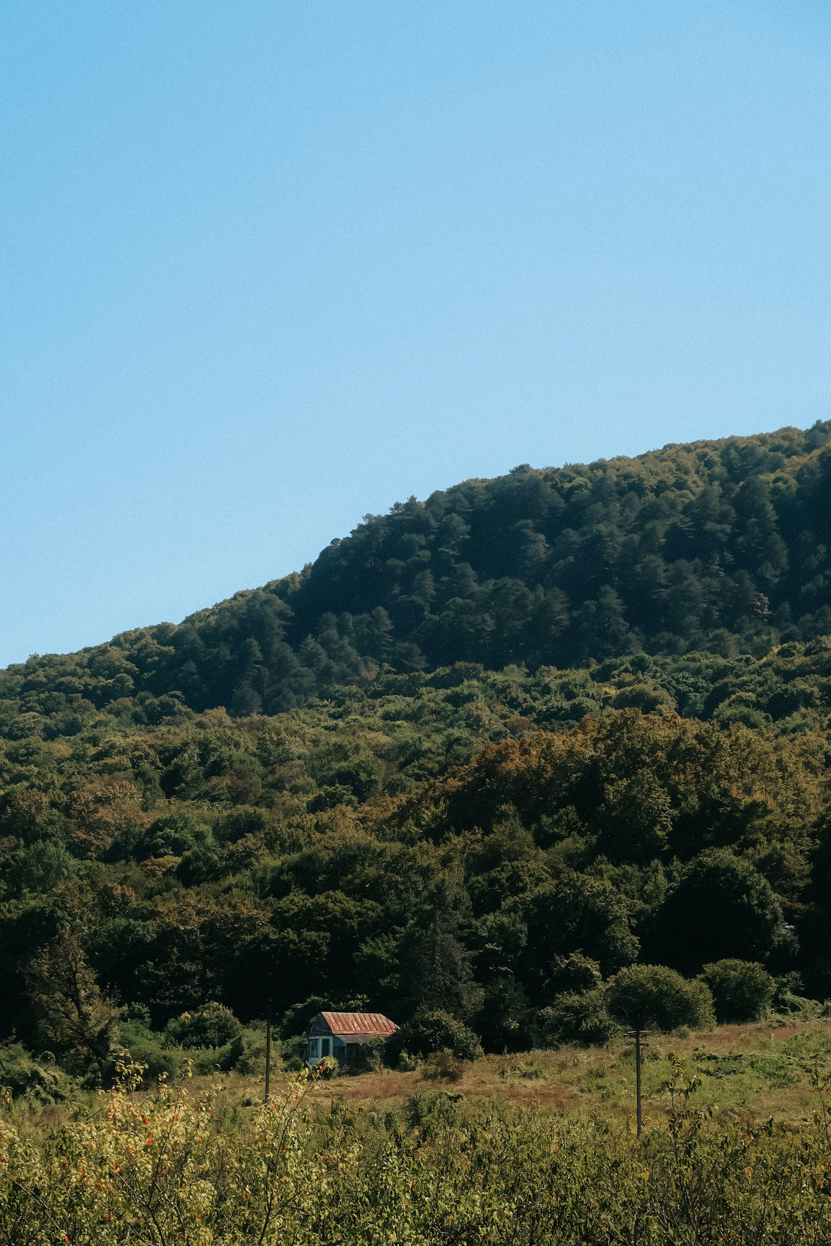 Photo by kashirenkova