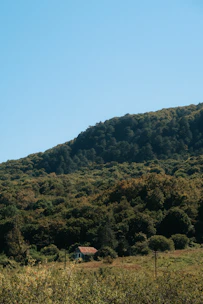 Plot of land with clear red title deed sign, surrounded by lush greenery and nearby infrastructure.
