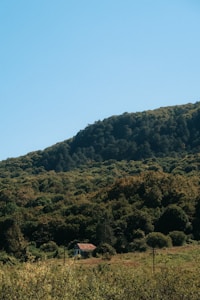 Hillside Retreat