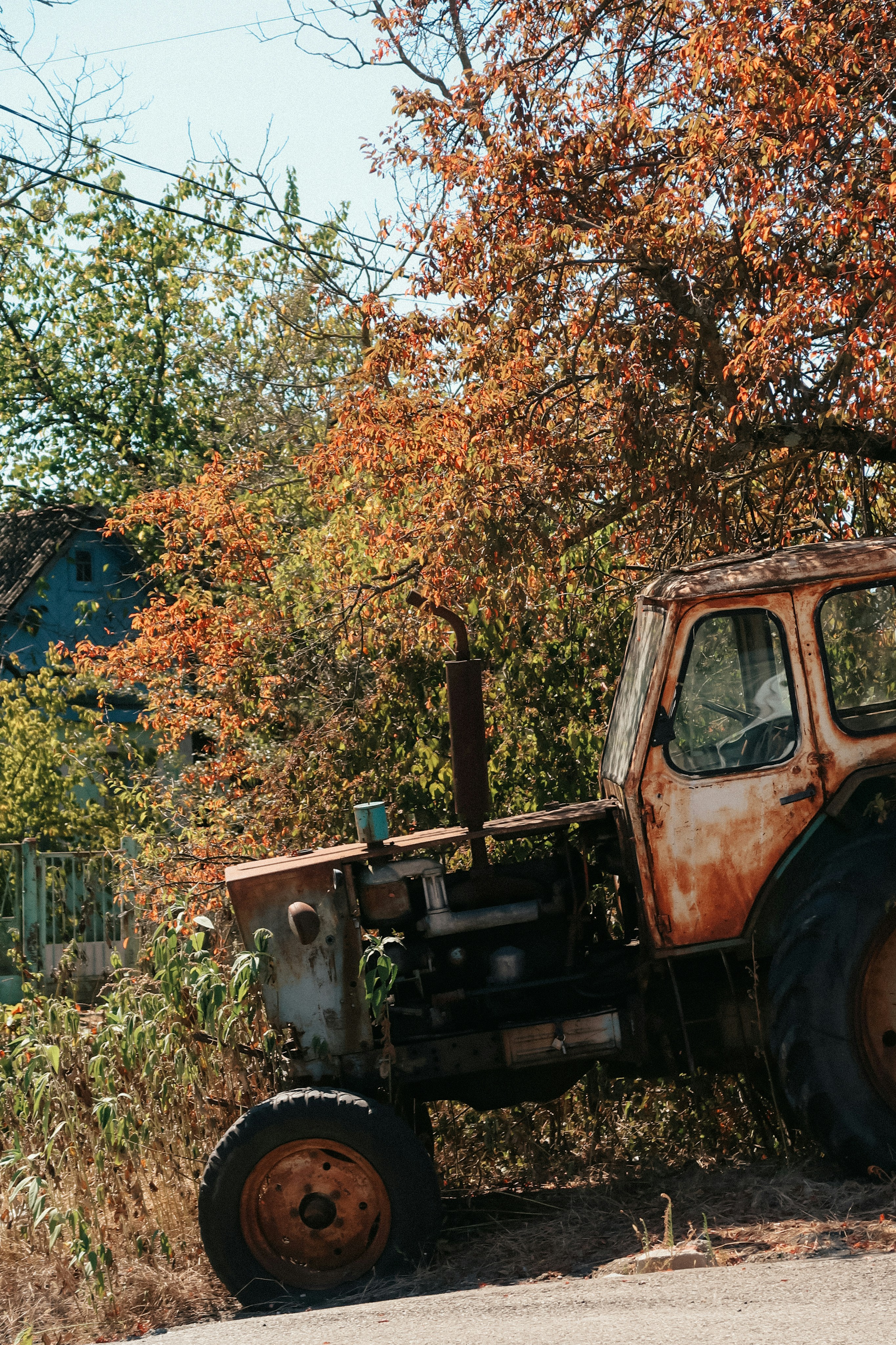 Photo by kashirenkova