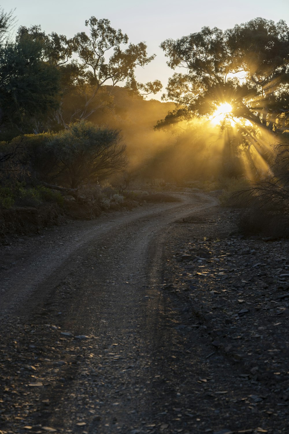 the sun is shining through the trees on a dirt road