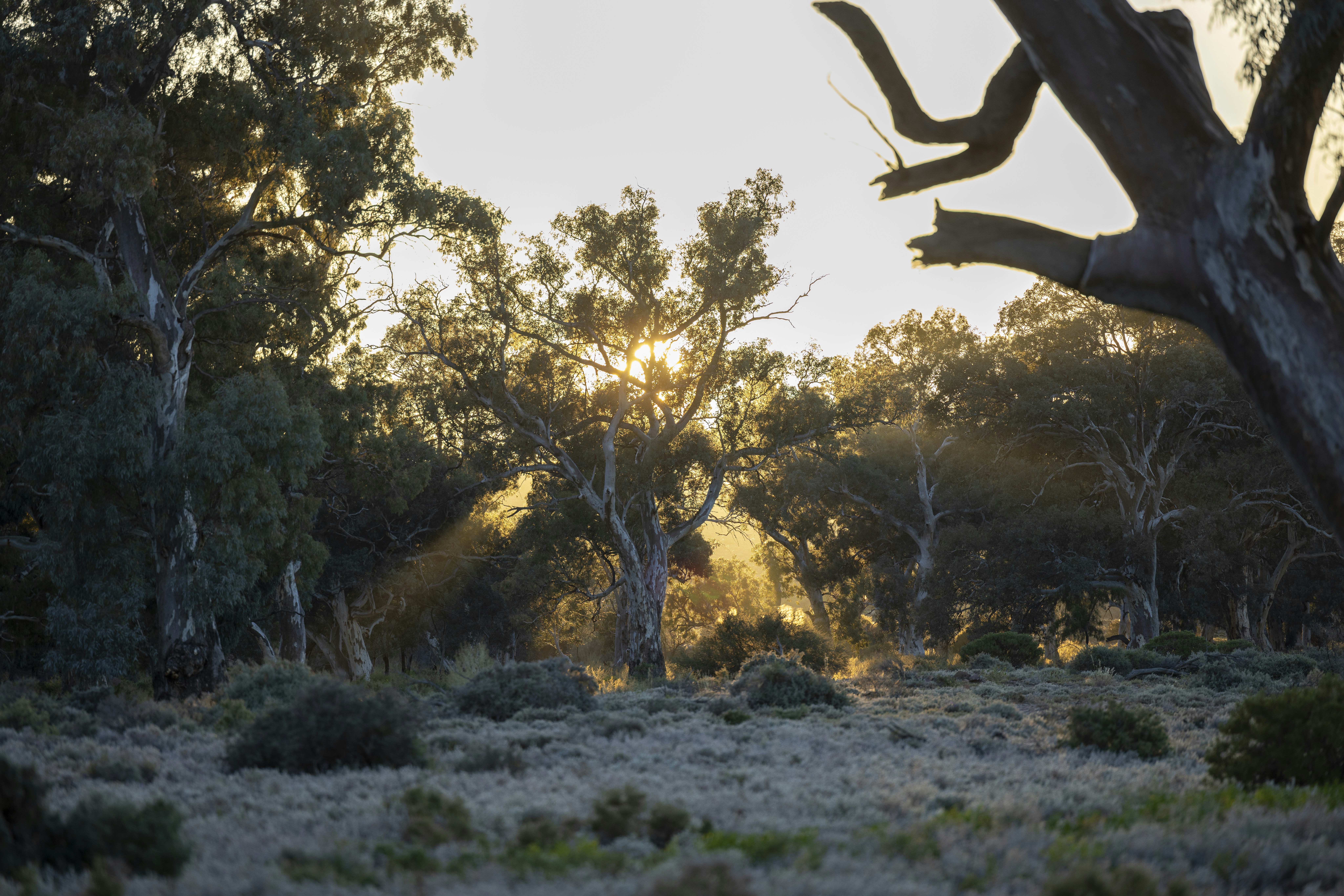 Photo by stephenmabbs