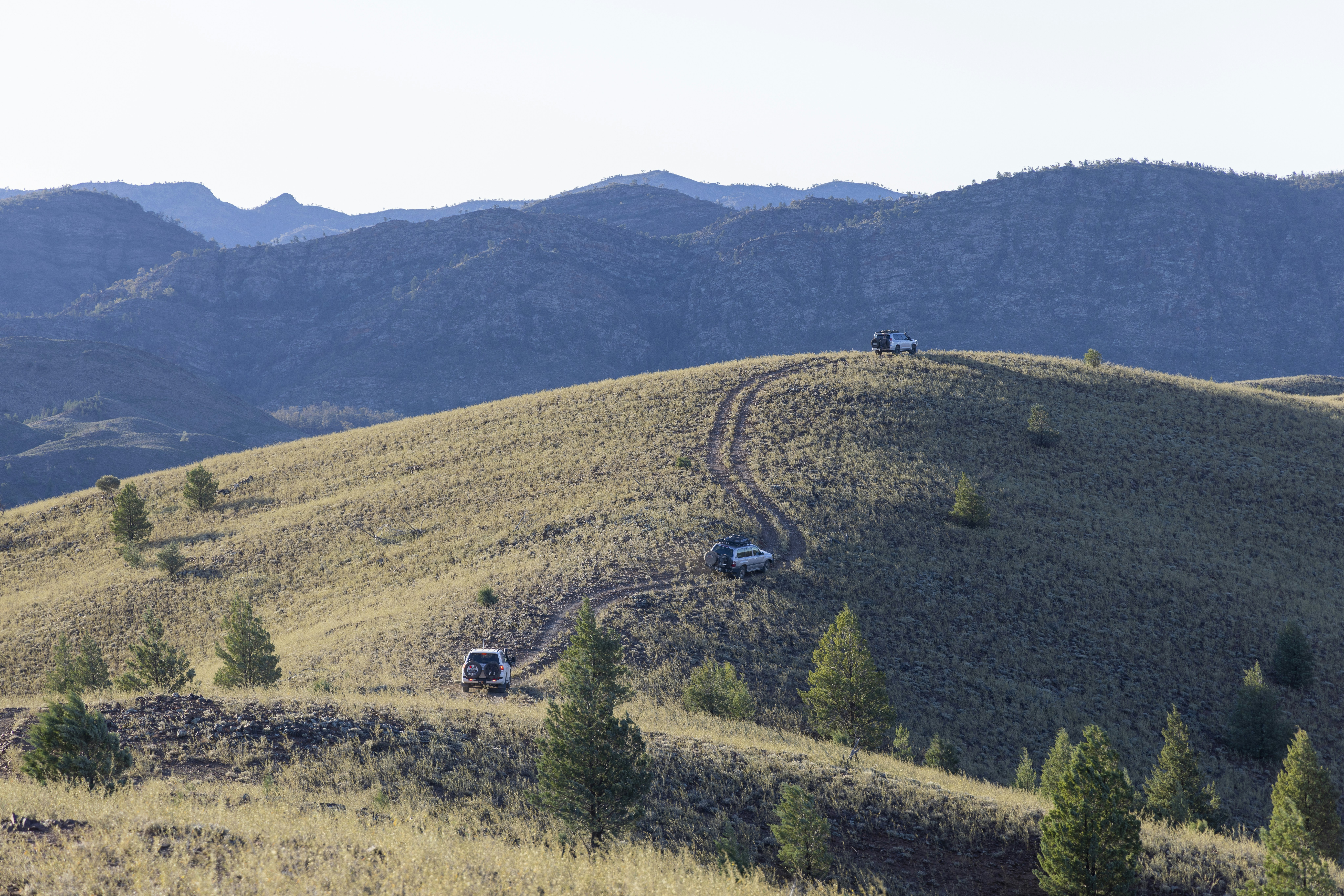 Best Induction Ranges for Renters and First-Time Renovators