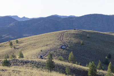 Wide shot of the hilly terrain showing 4WD tracks winding across the Scenic Rim.