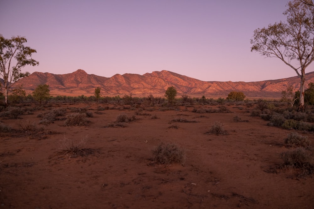 a dirt field with trees and mountains in the background