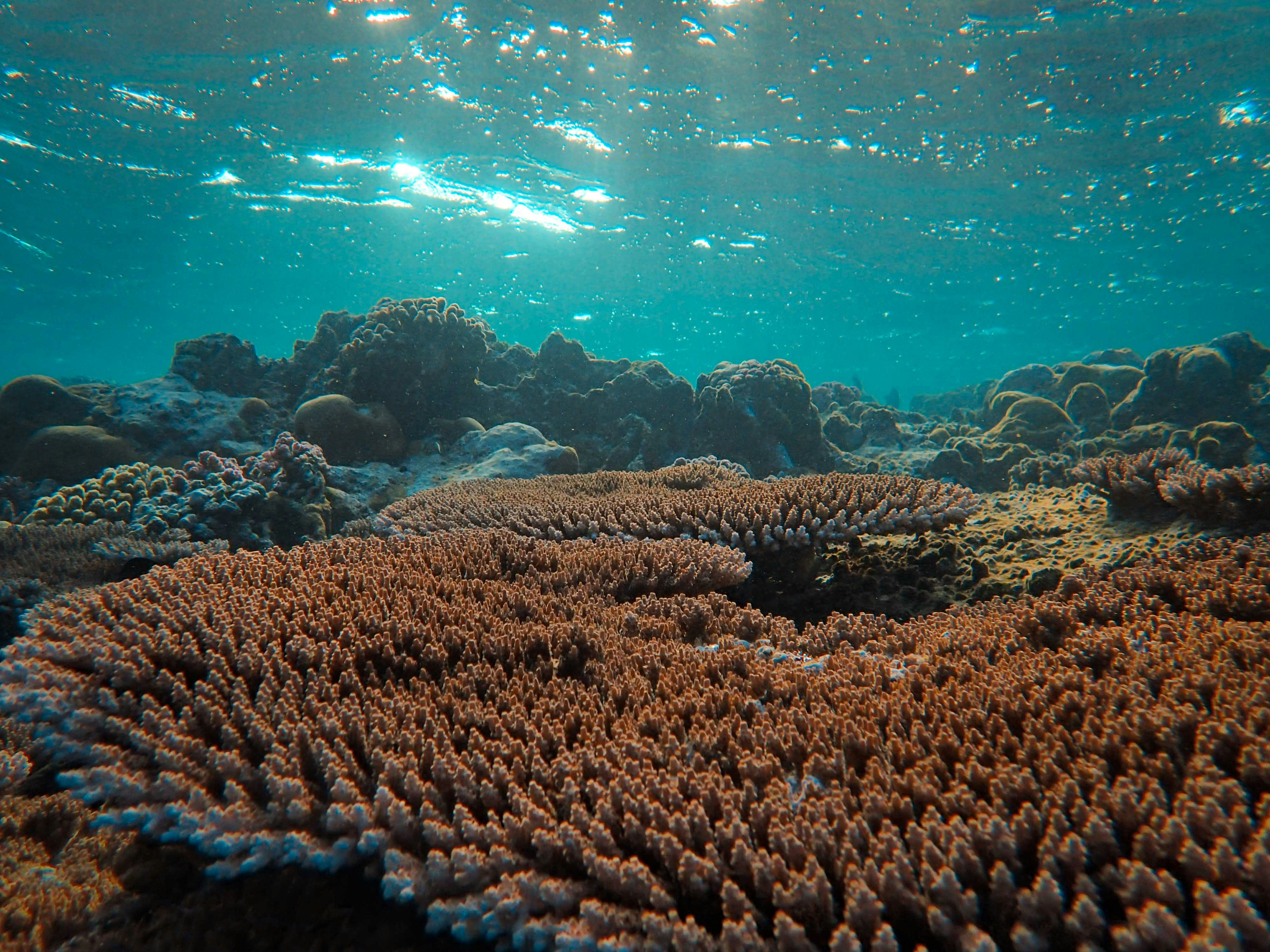 Photo by francesco_ungaro