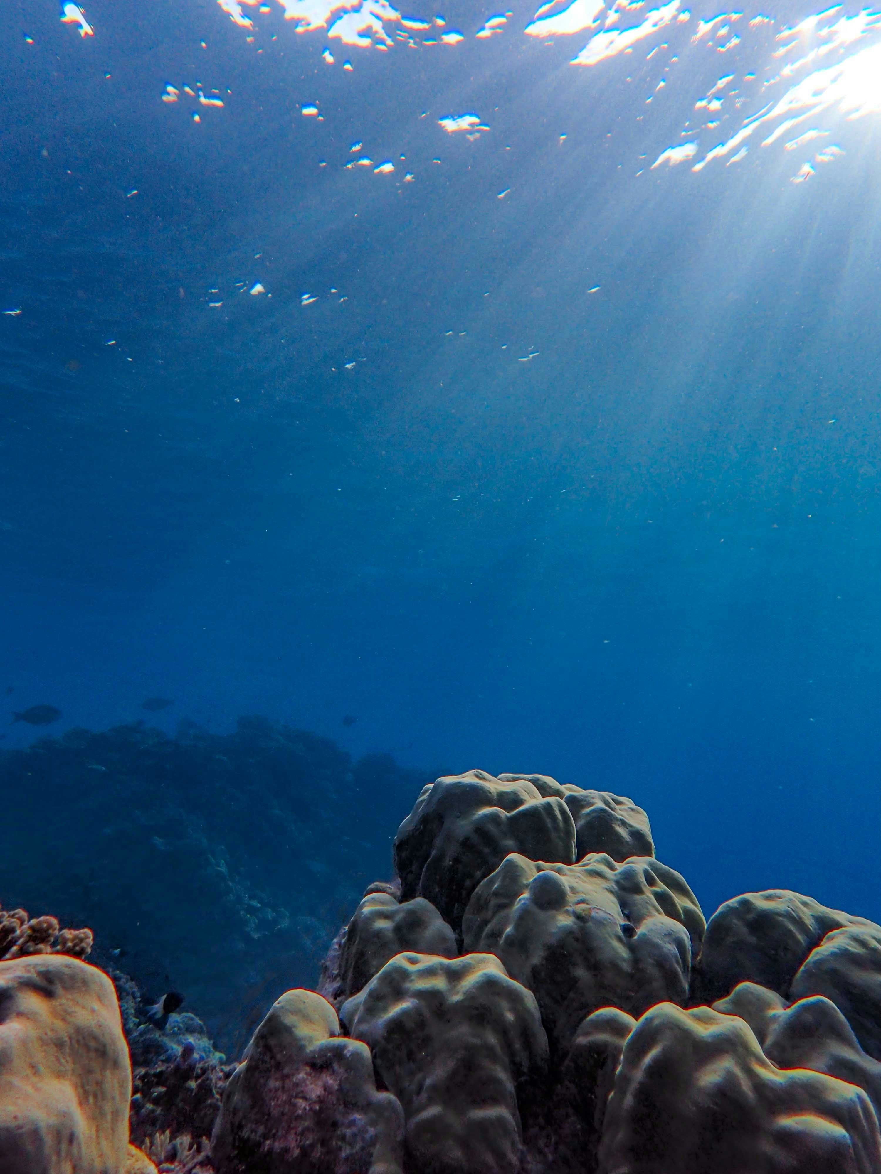 Photo by francesco_ungaro