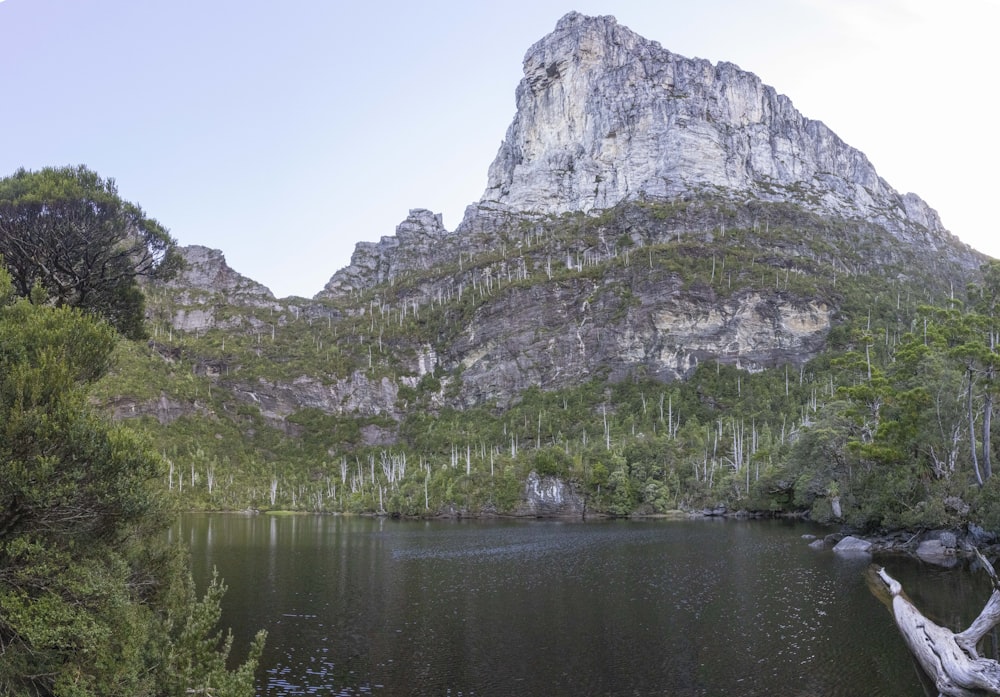 a lake surrounded by trees and a mountain