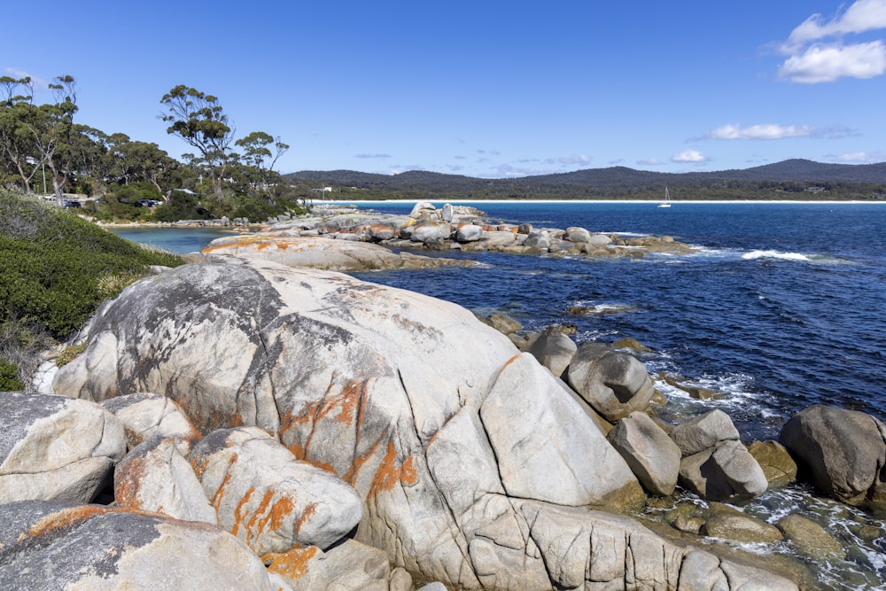 a rocky shore with a body of water and trees