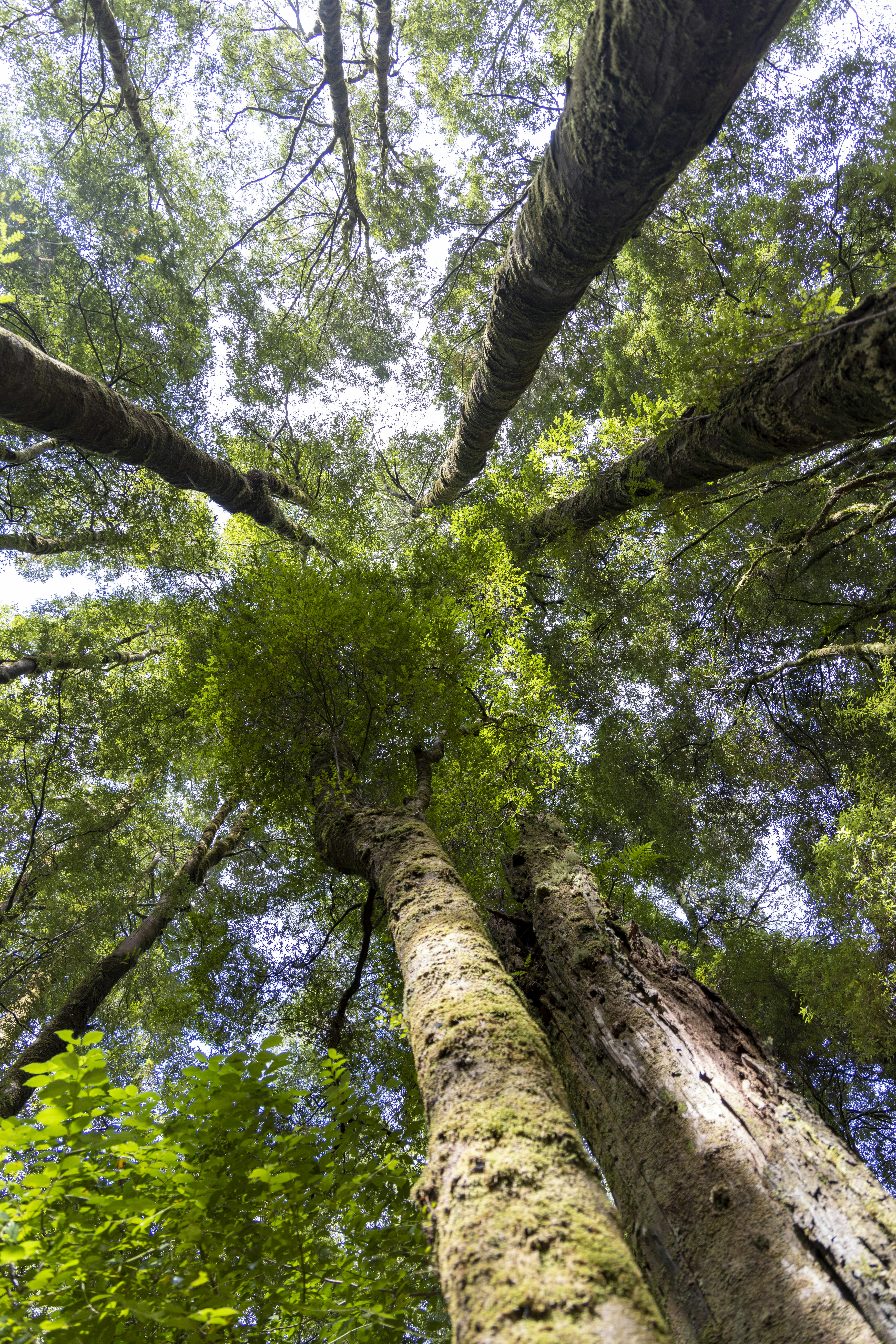 Photo by stephenmabbs