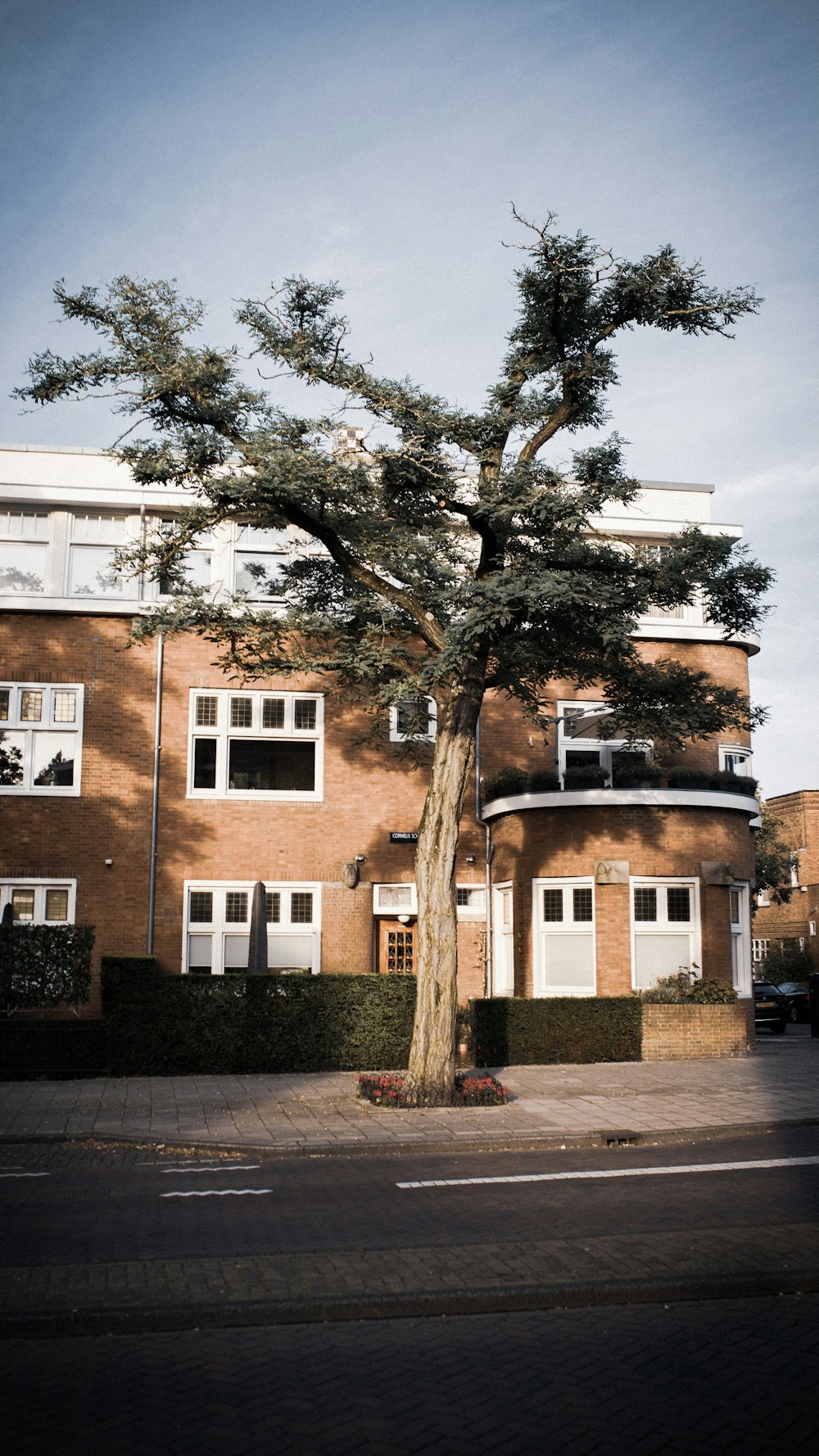 a tree in front of a brick building