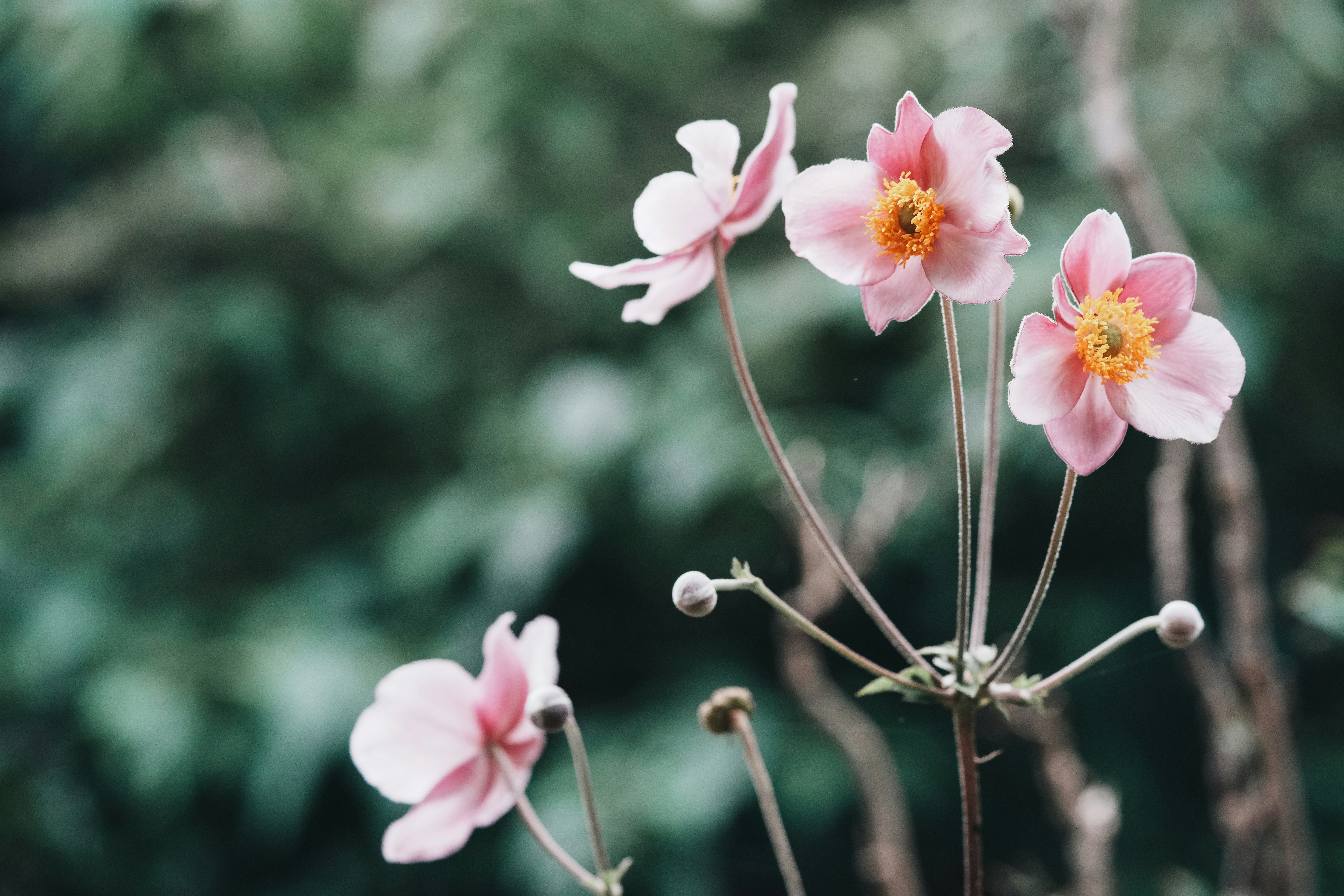 Photo by anyachernykh