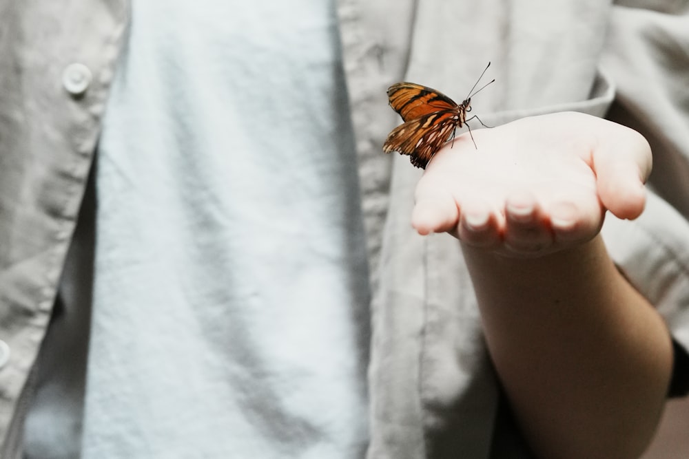 a small butterfly sitting on top of a person's hand