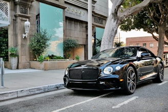 A sleek black luxury car with a discreet security detail standing nearby.