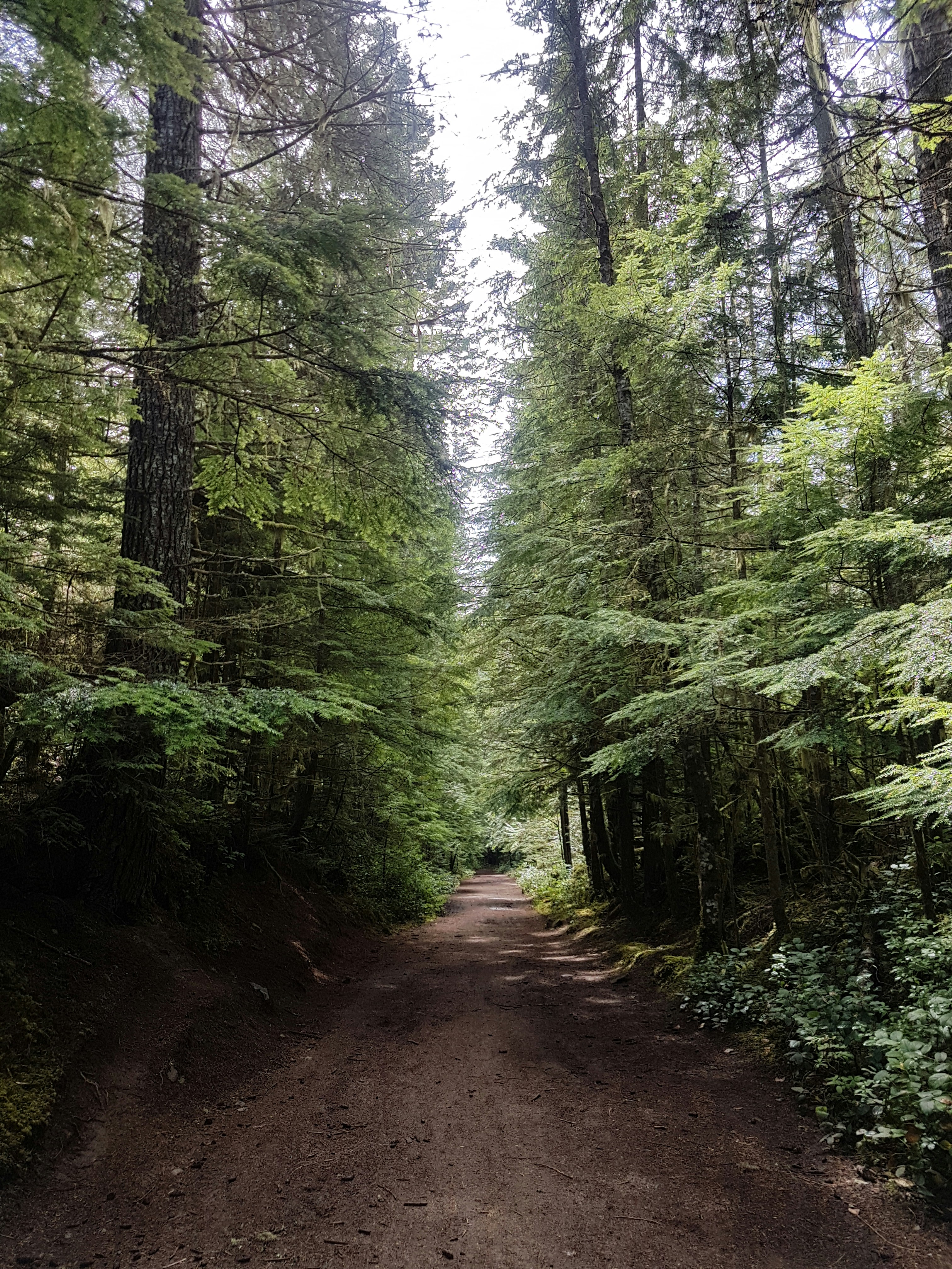 Photo by peaceful_photos