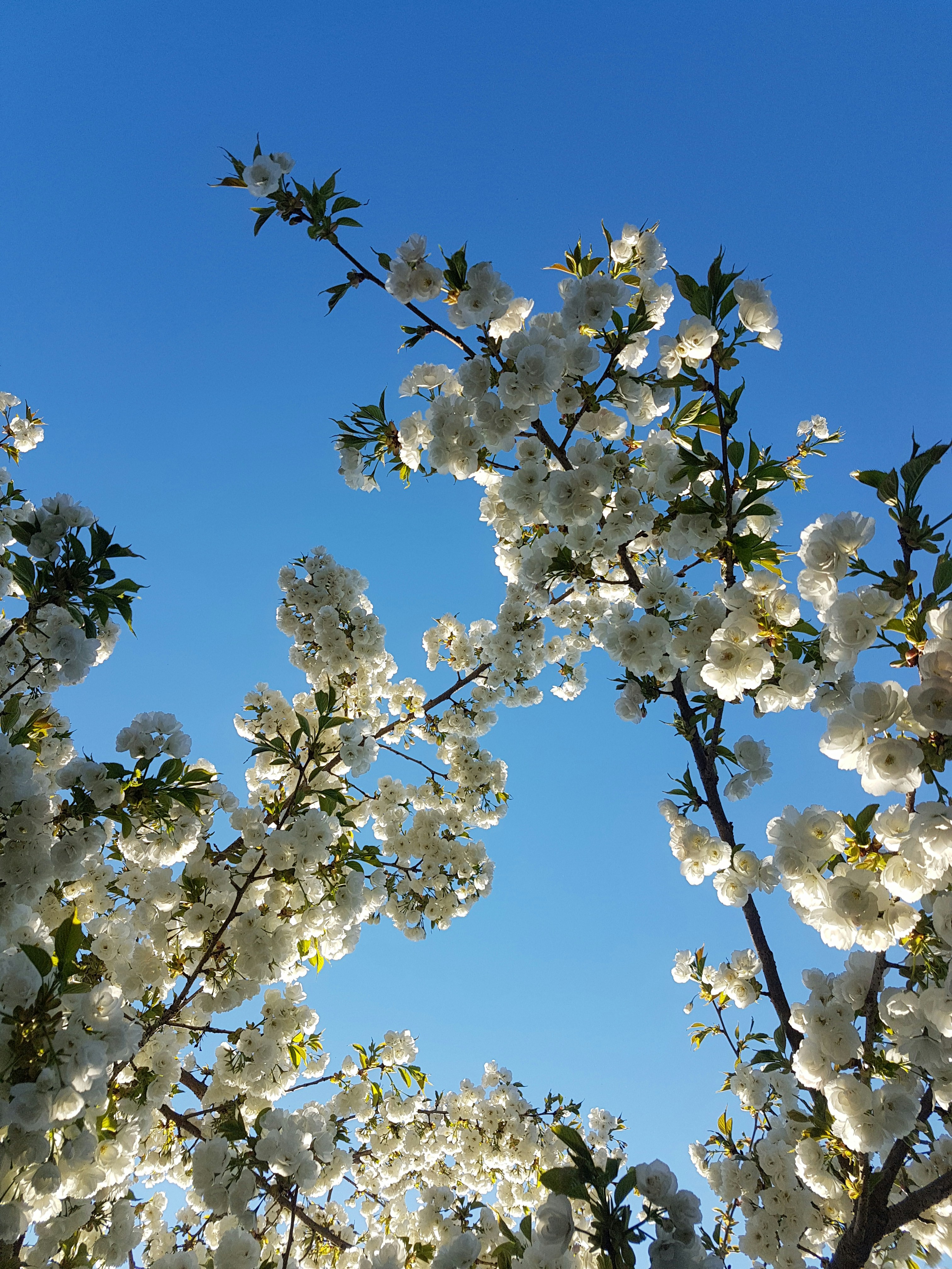 Photo by peaceful_photos