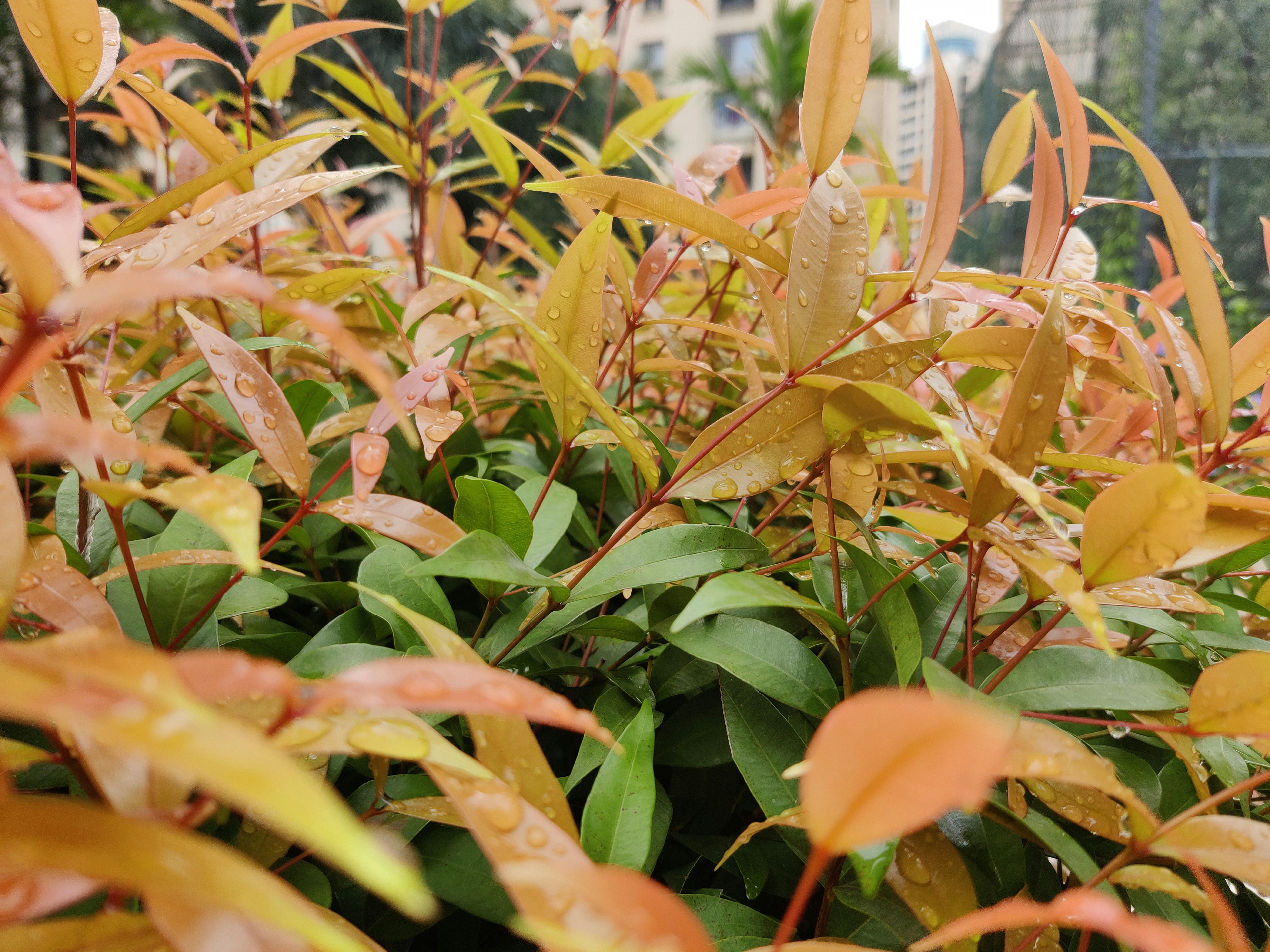 Photo by adarshmadrecha