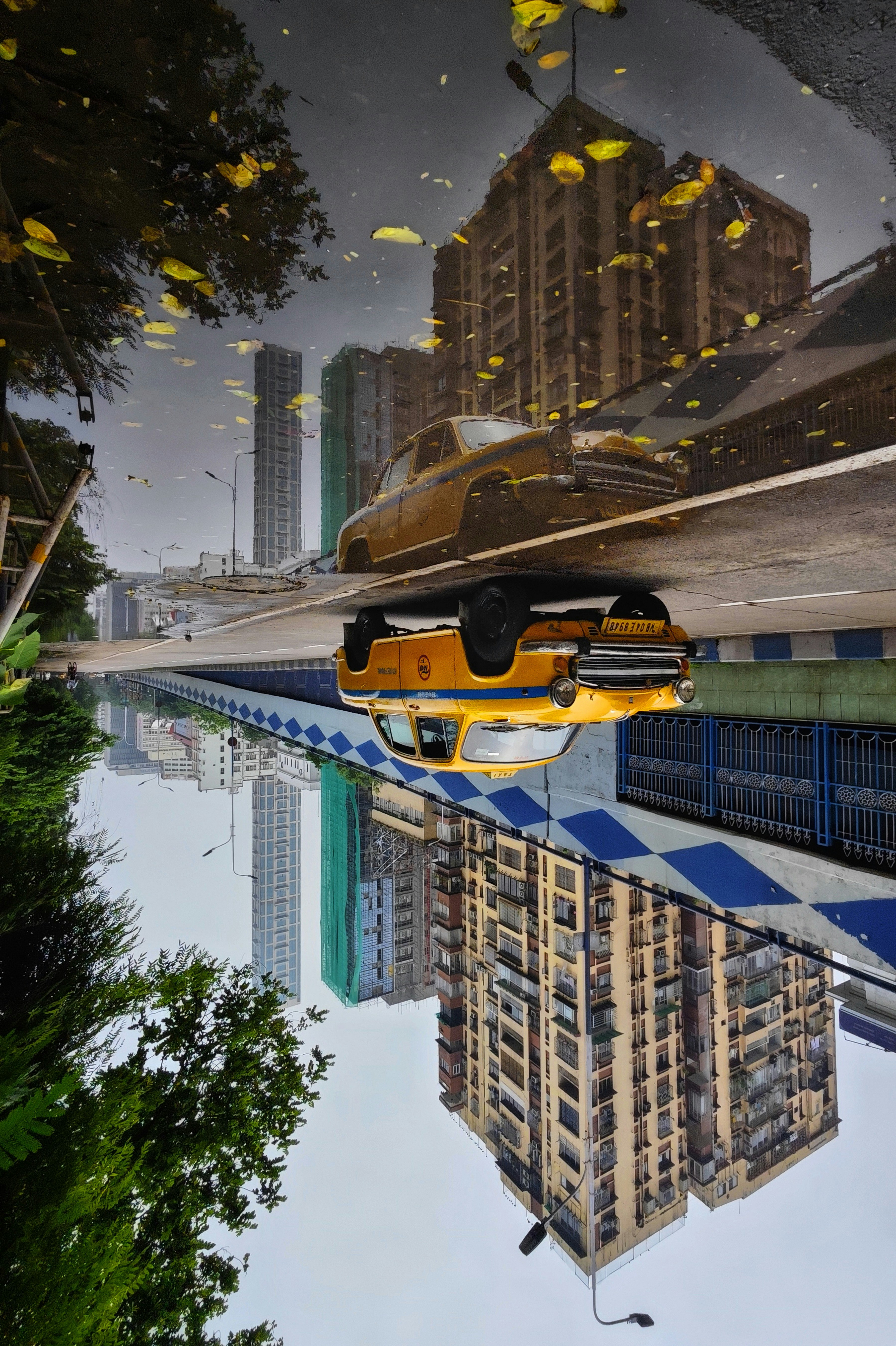 Photo by dibakar16roy