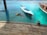 A person is diving off a wooden deck into clear turquoise water. There are two boats nearby, one with a bright blue interior and the other with a dark canopy. The surrounding landscape includes small green islands in the distance.