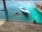 A person is diving off a wooden deck into clear turquoise water. There are two boats nearby, one with a bright blue interior and the other with a dark canopy. The surrounding landscape includes small green islands in the distance.