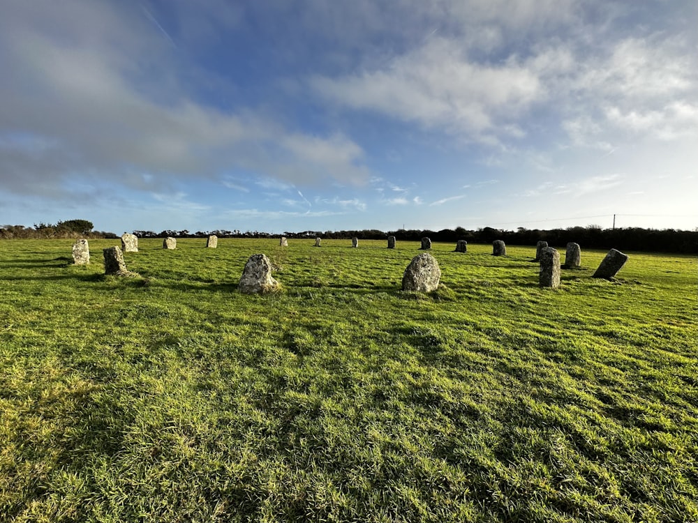 a grassy field with large rocks in the middle of it