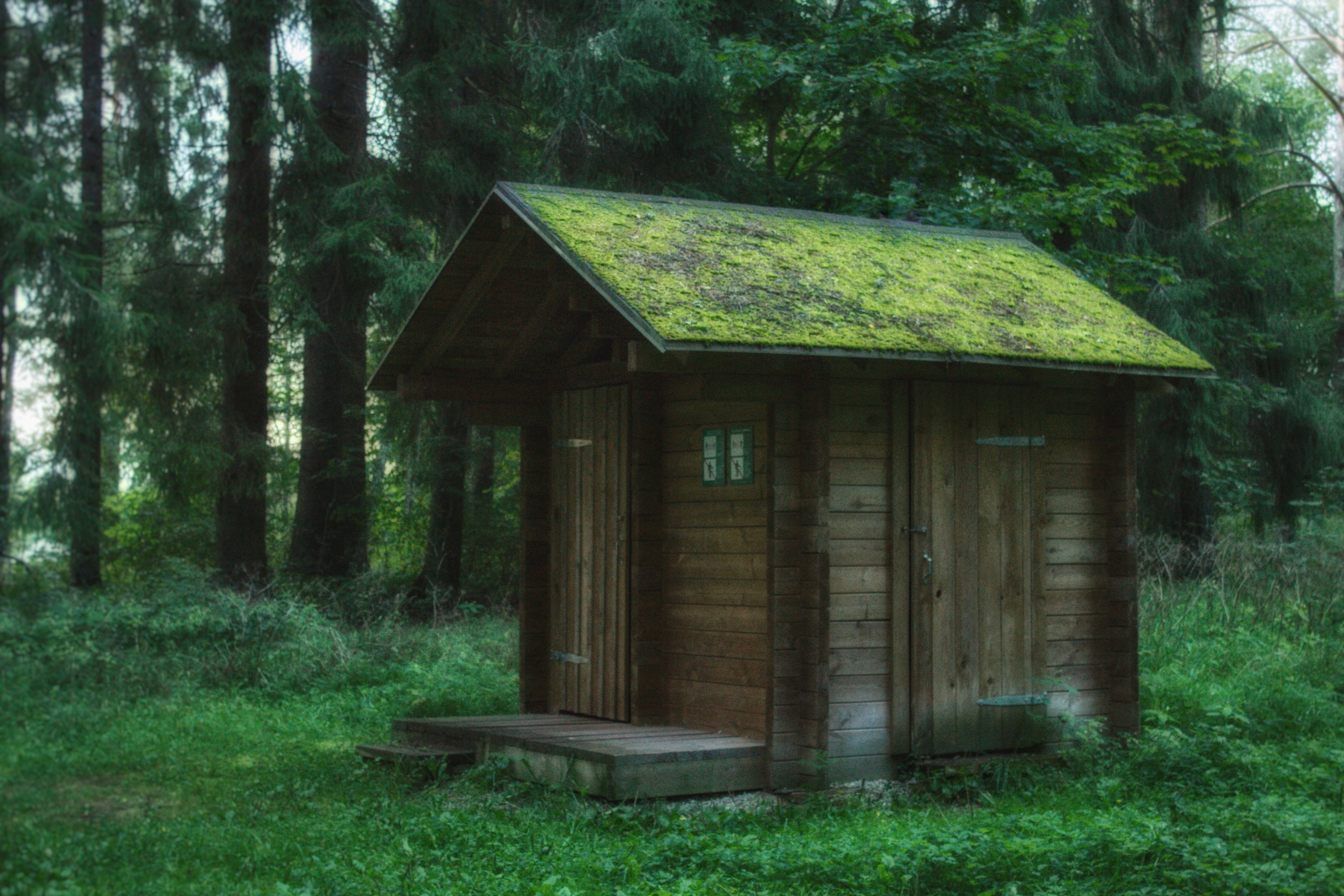 Photo by maximyuryshev